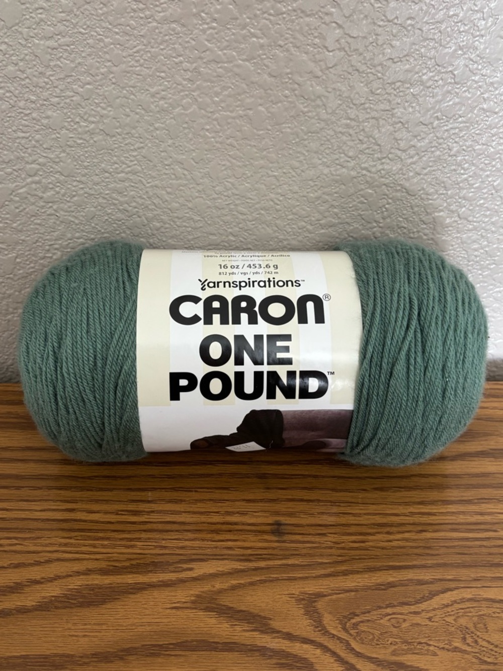 NEW 1 Skein of Caron One Pound Yarn - Hosta